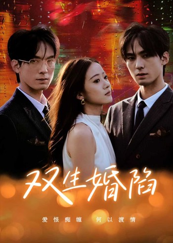 双生婚陷封面图