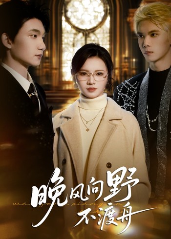 晚风向野不渡舟封面图