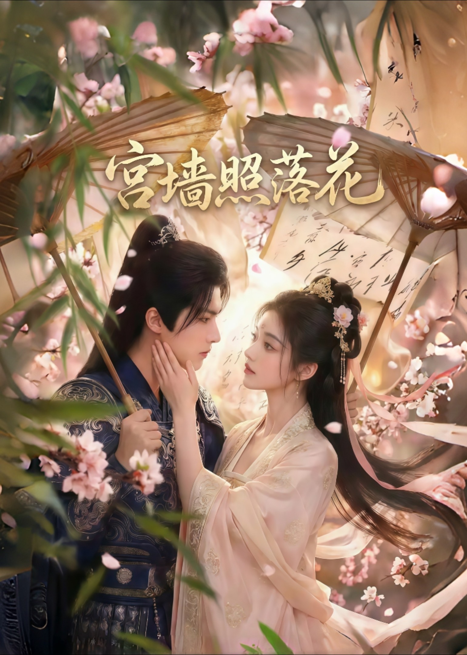 宫墙照落花封面图