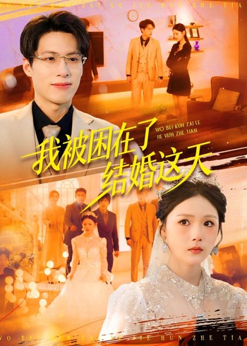 我被困在了结婚这天封面图