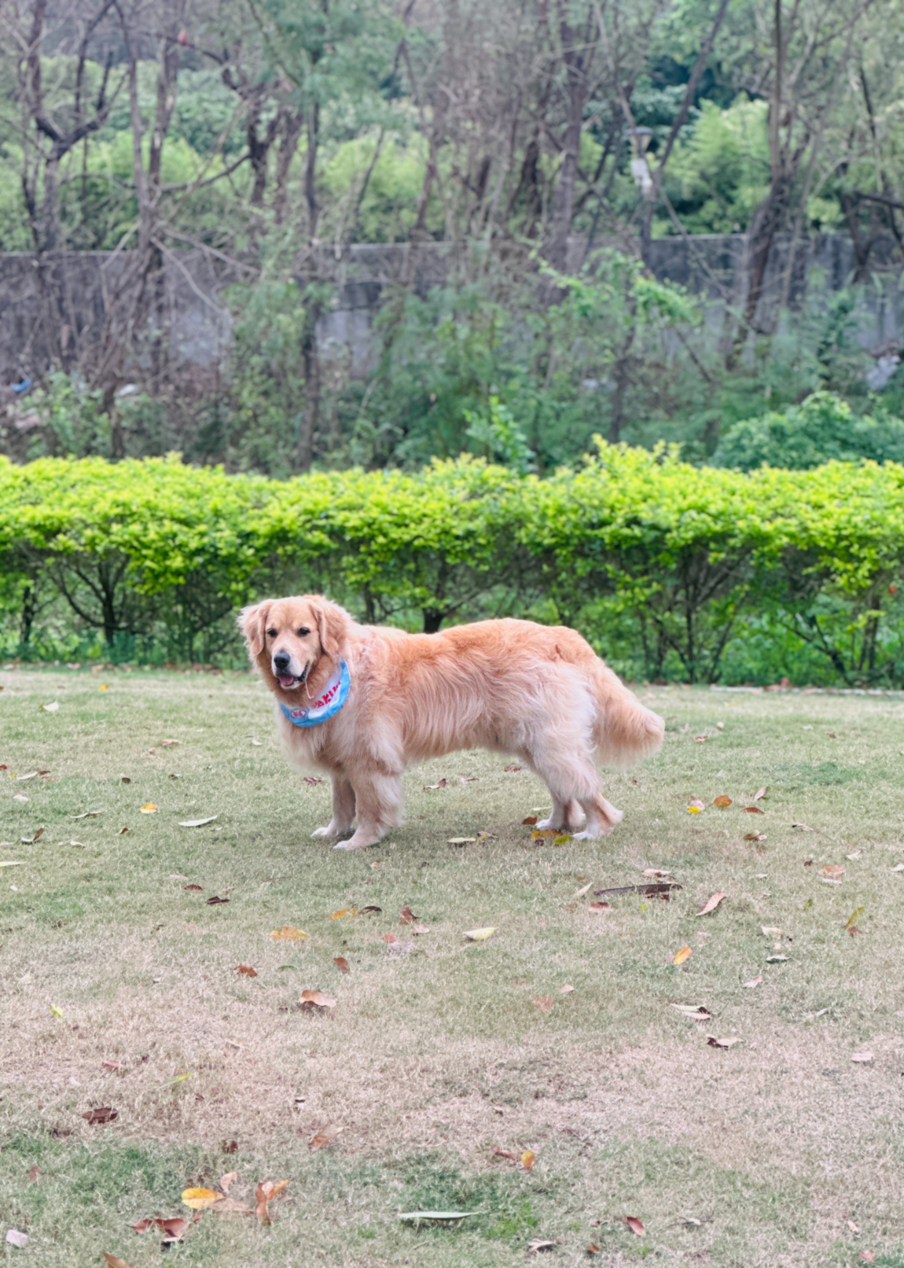 满满的和野竖封面图