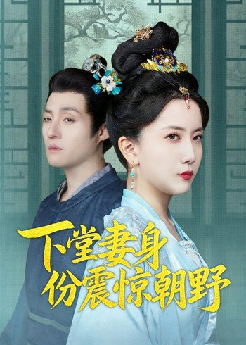下堂妻身份震惊朝野封面图