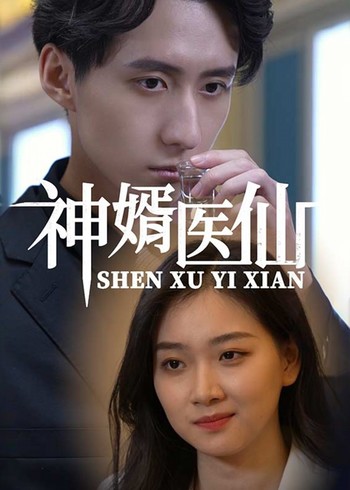 神婿医仙封面图
