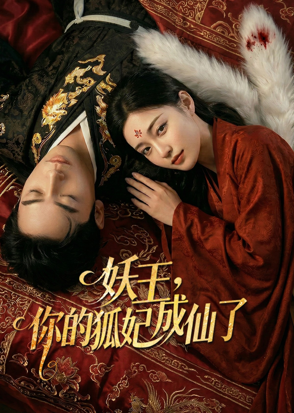 妖王，你的狐妃成仙了