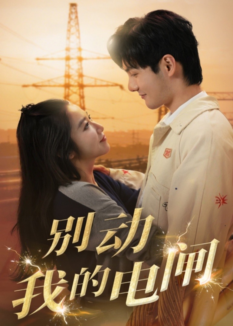 别动我的电闸封面图