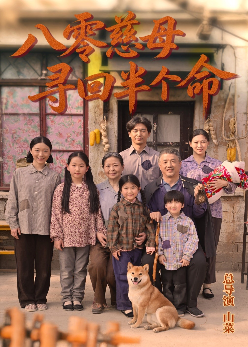 八零慈母寻回半个命封面图