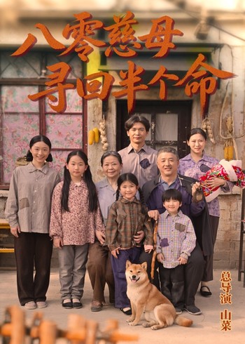 八零慈母寻回半个命封面图