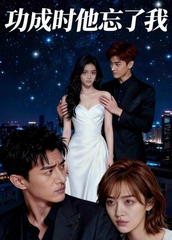 功成时他忘了我封面图