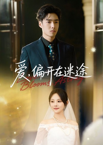 爱偏开在迷途封面图