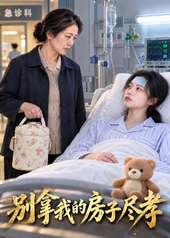 别拿我的房子尽孝