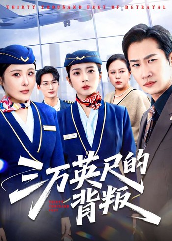 三万英尺的背叛封面图