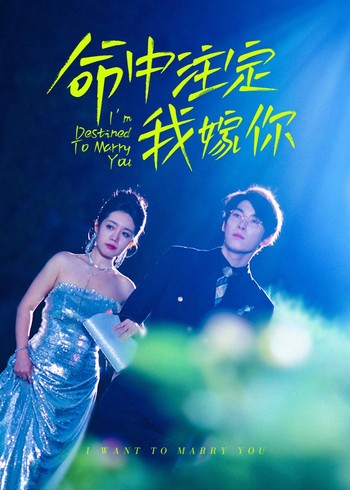命中注定我嫁你封面图