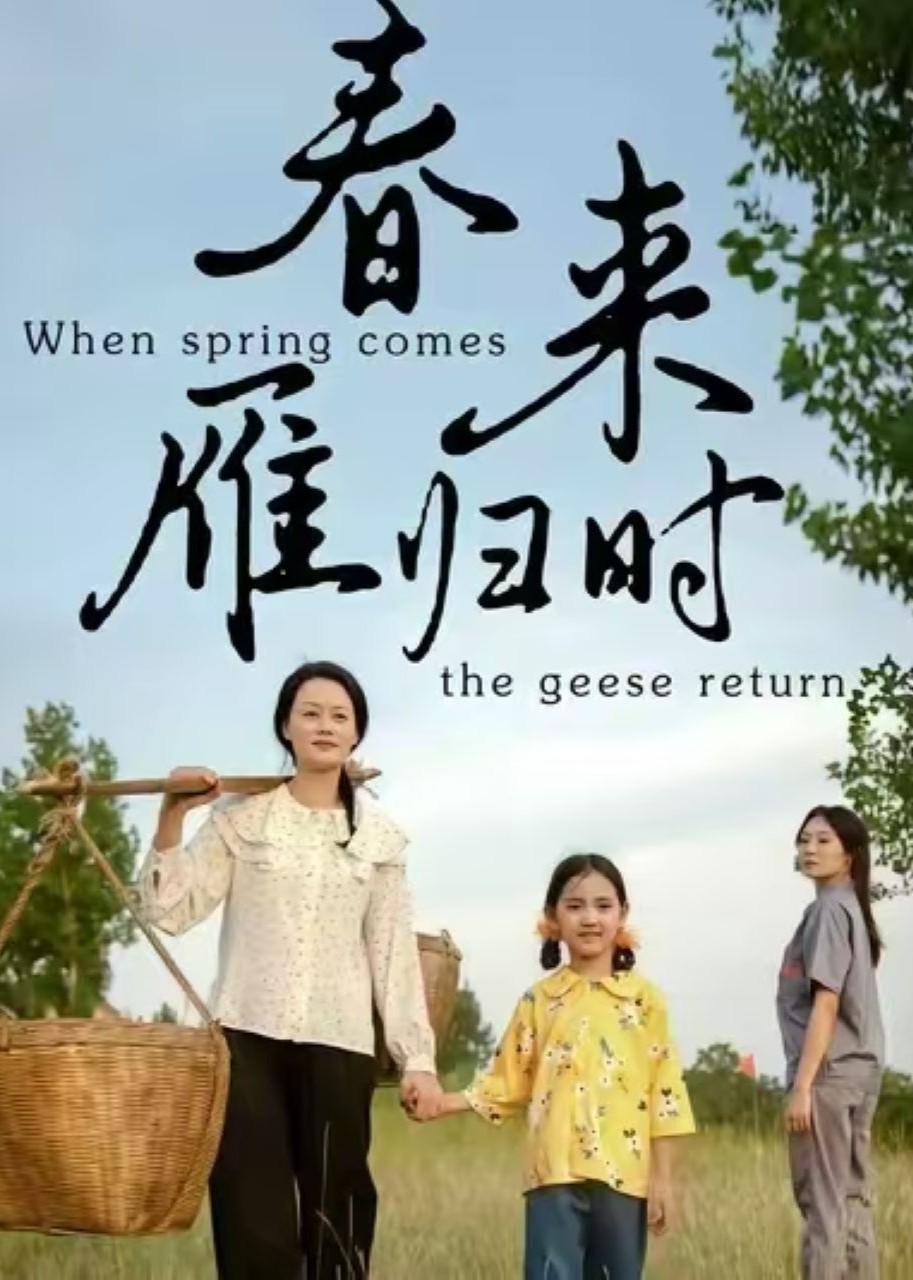 春来雁归时封面图