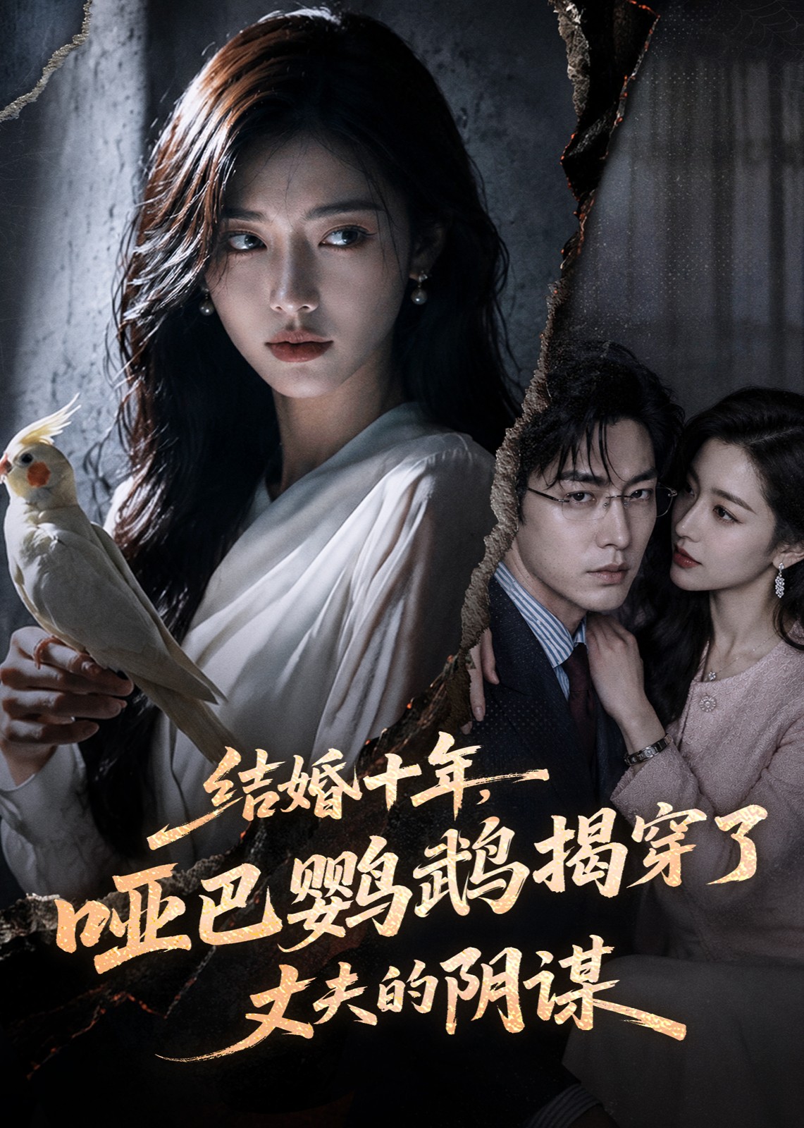 结婚十年，哑巴鹦鹉揭穿了丈夫的阴谋