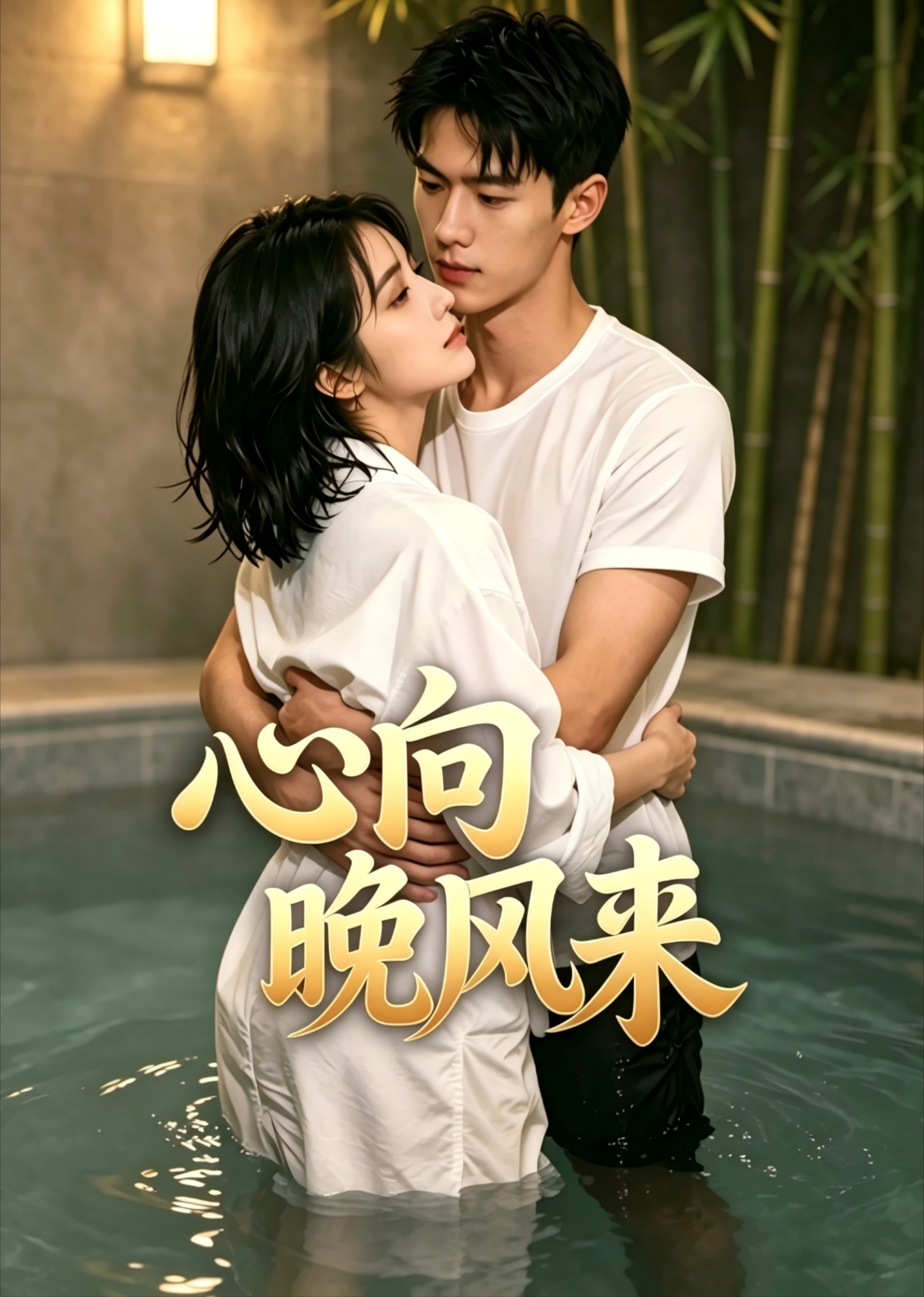 心向晚风来