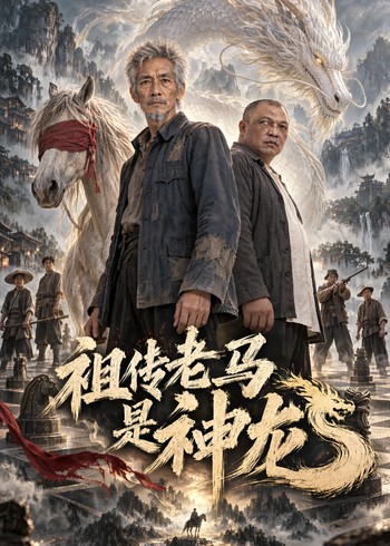 祖传老马是神龙封面图