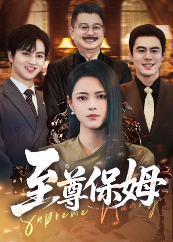 至尊保姆封面图