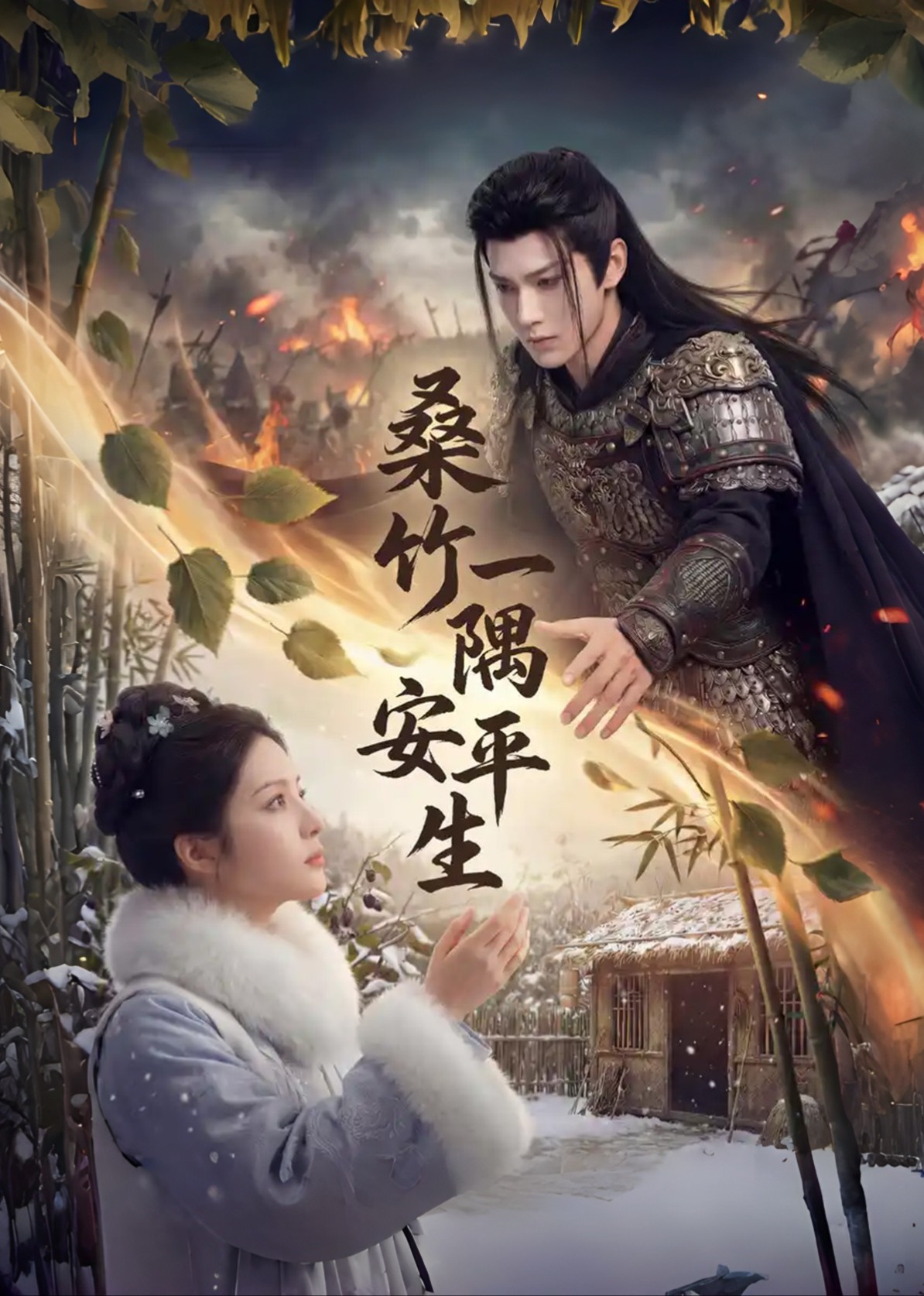 桑竹一隅安平生封面图