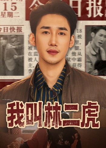 我叫林二虎封面图