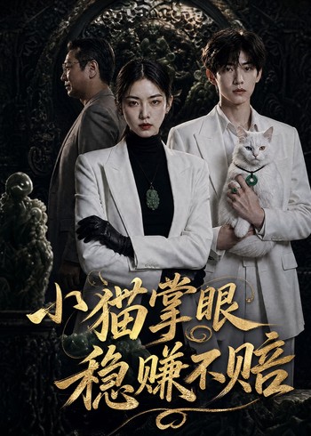 小猫掌眼稳赚不赔