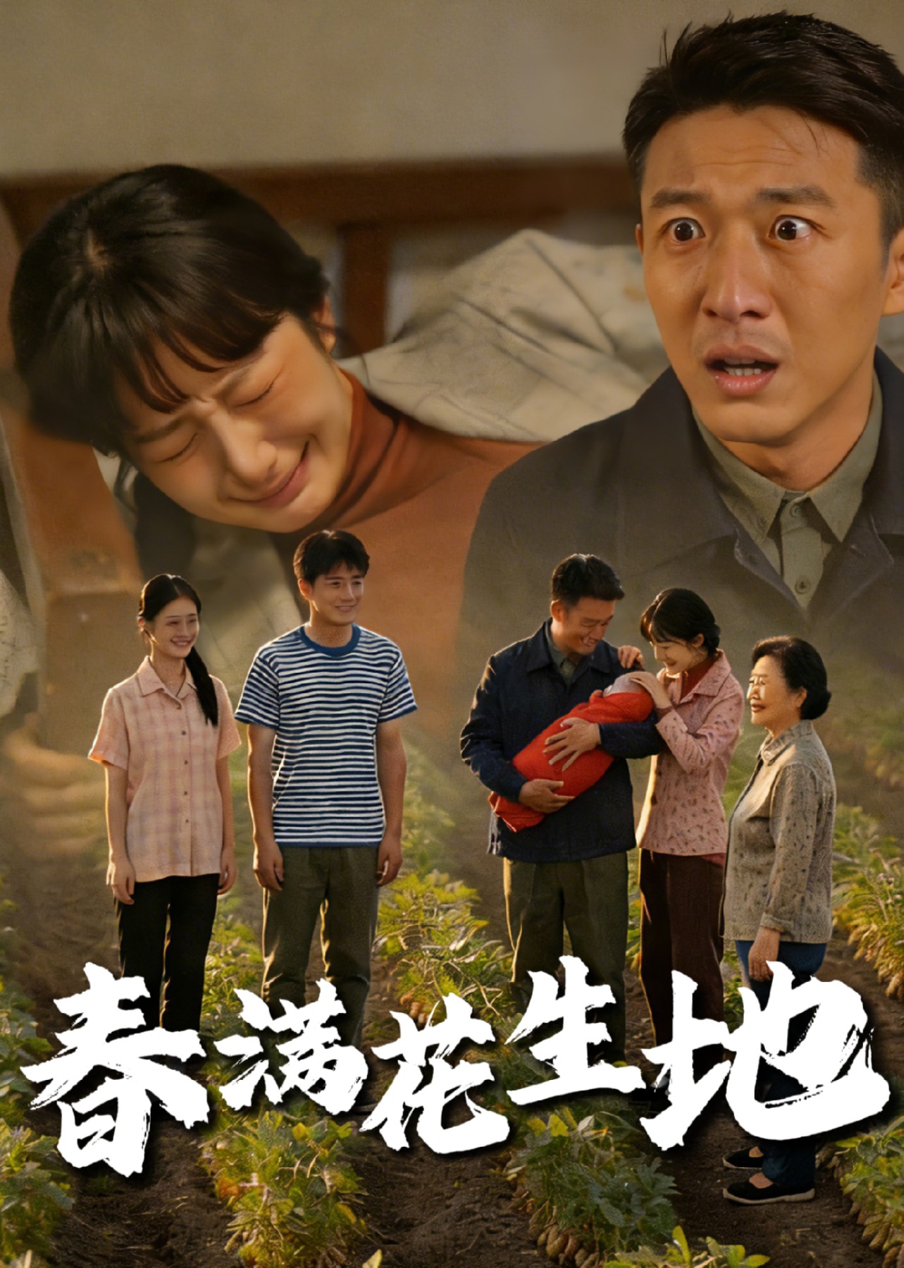 春满花生地封面图