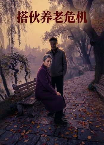 搭伙养老危机封面图
