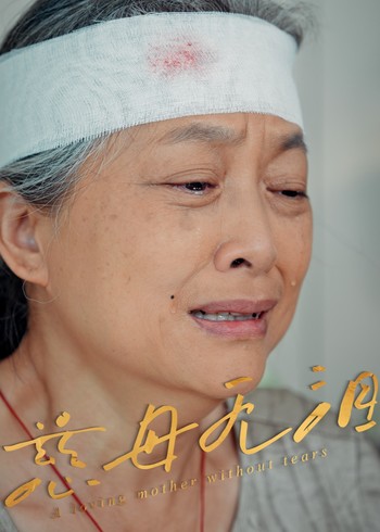 慈母无泪封面图