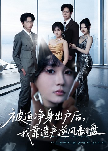 被迫净身出户后我靠遗产逆风翻盘封面图
