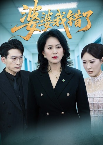 婆婆我错了封面图