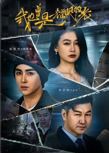 我也曾是耀眼的光封面图