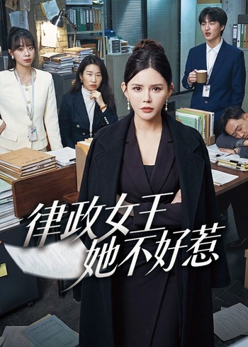 律政女王她不好惹封面图