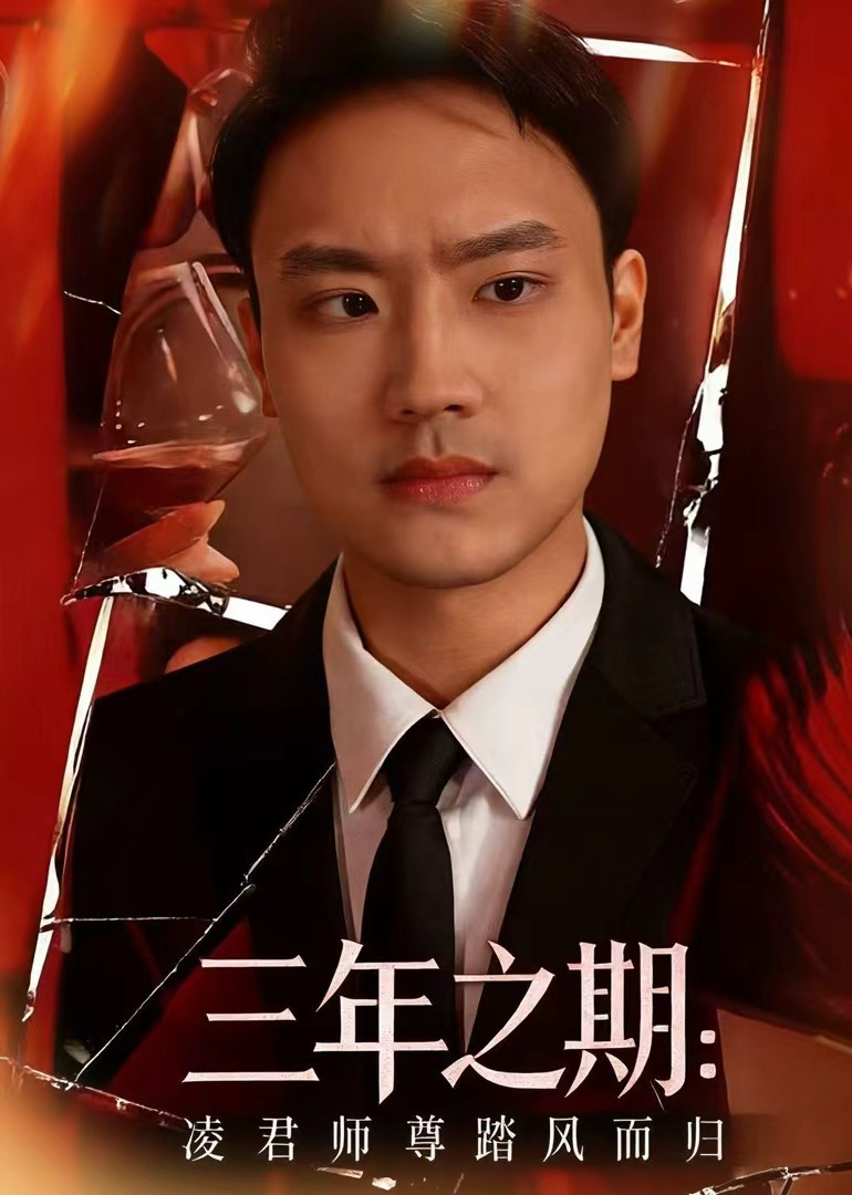 三年之期：凌君师尊踏风而归封面图