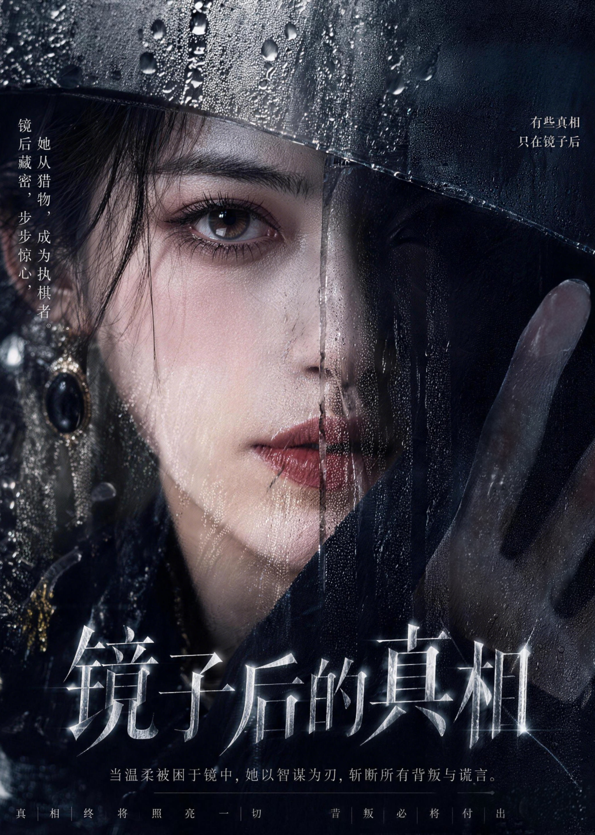 镜子后的真相封面图