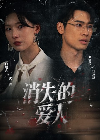 消失的爱人封面图