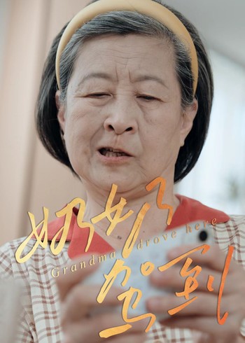 奶奶驾到封面图