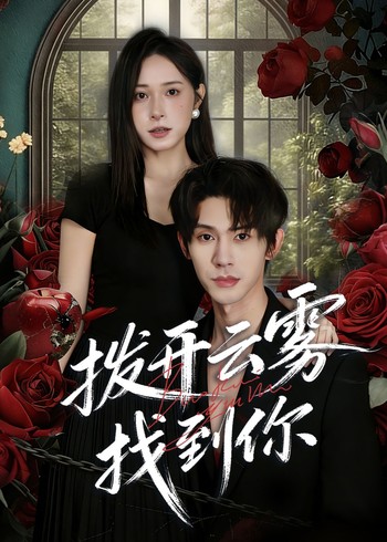 拨开云雾找到你封面图