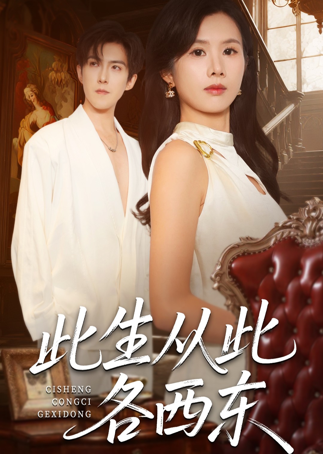 此生从此各西东封面图