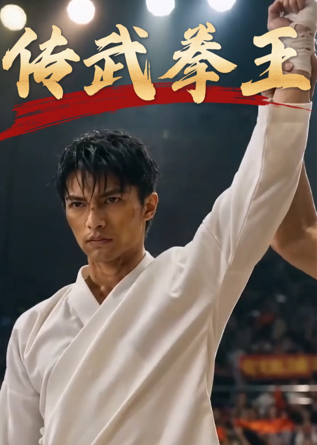 传武拳王
