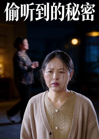 偷听到的秘密封面图