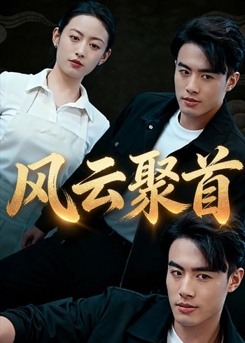 风云聚首封面图