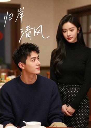 归岸清风封面图