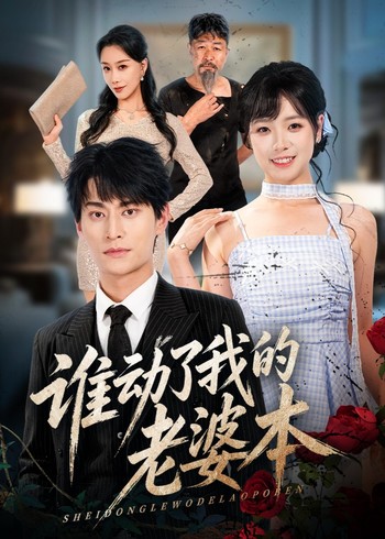 谁动了我的老婆本