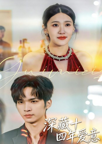 深藏十四年爱意封面图