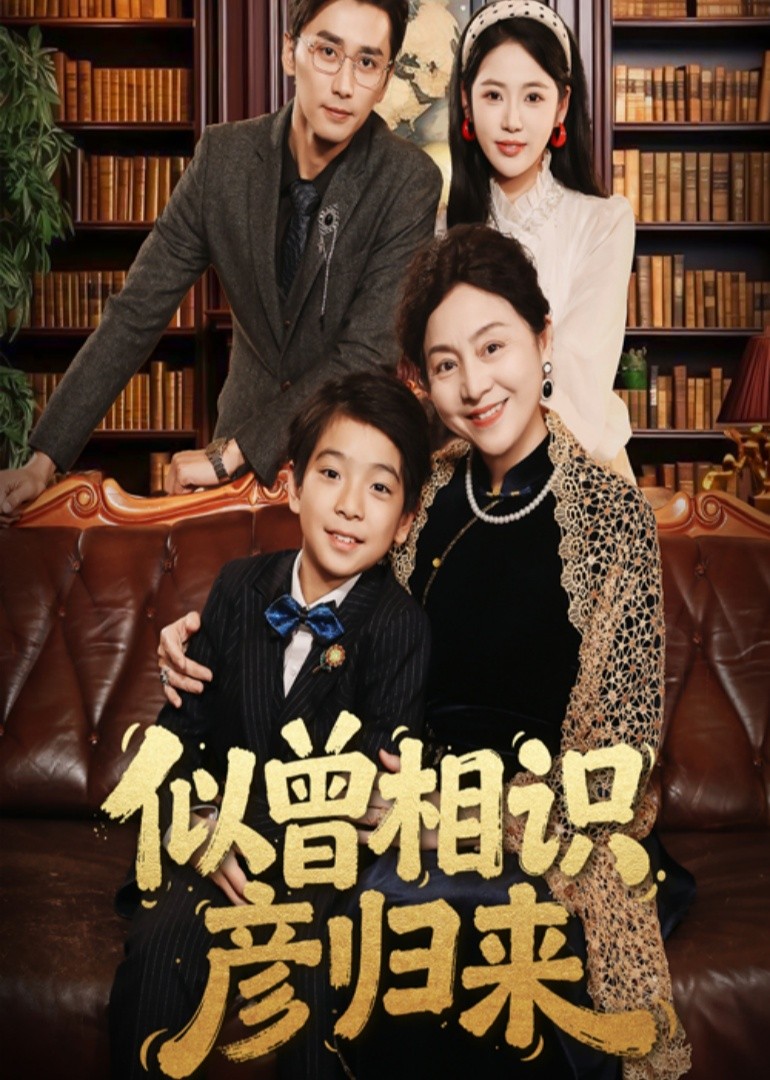 似曾相识彦归来封面图