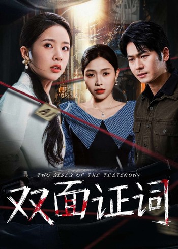 双面证词封面图