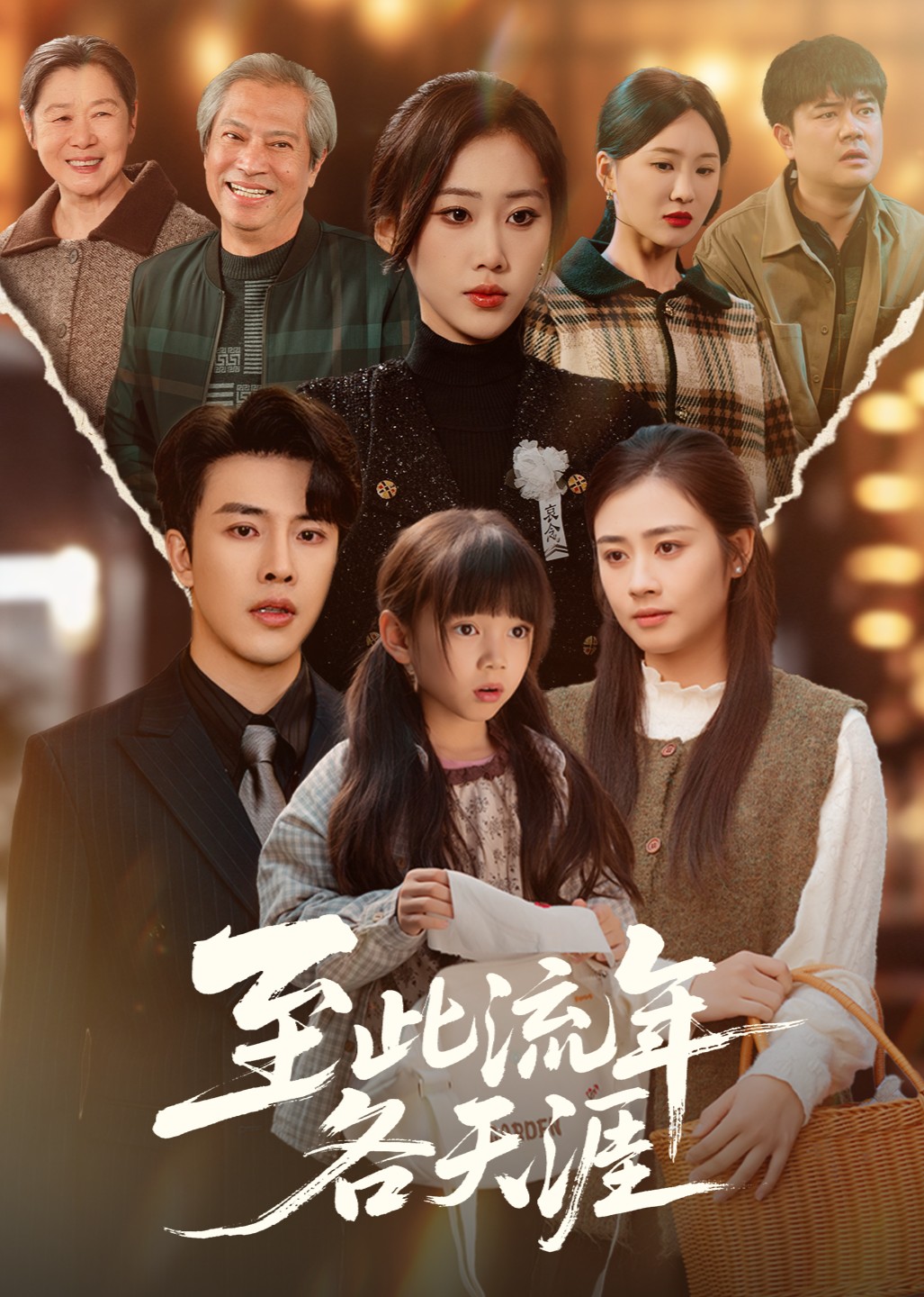 至此流年各天涯封面图