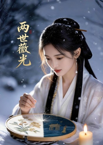 两世薇光封面图