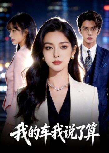 我的车我说了算封面图
