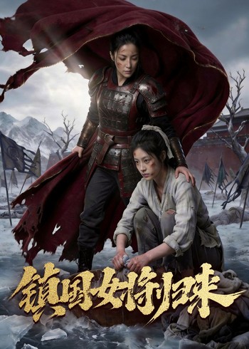 镇国女将归来封面图