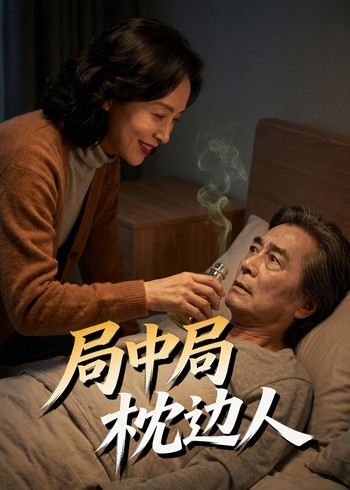 局中局枕边人封面图